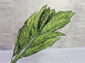 Planta hojas verdes largas